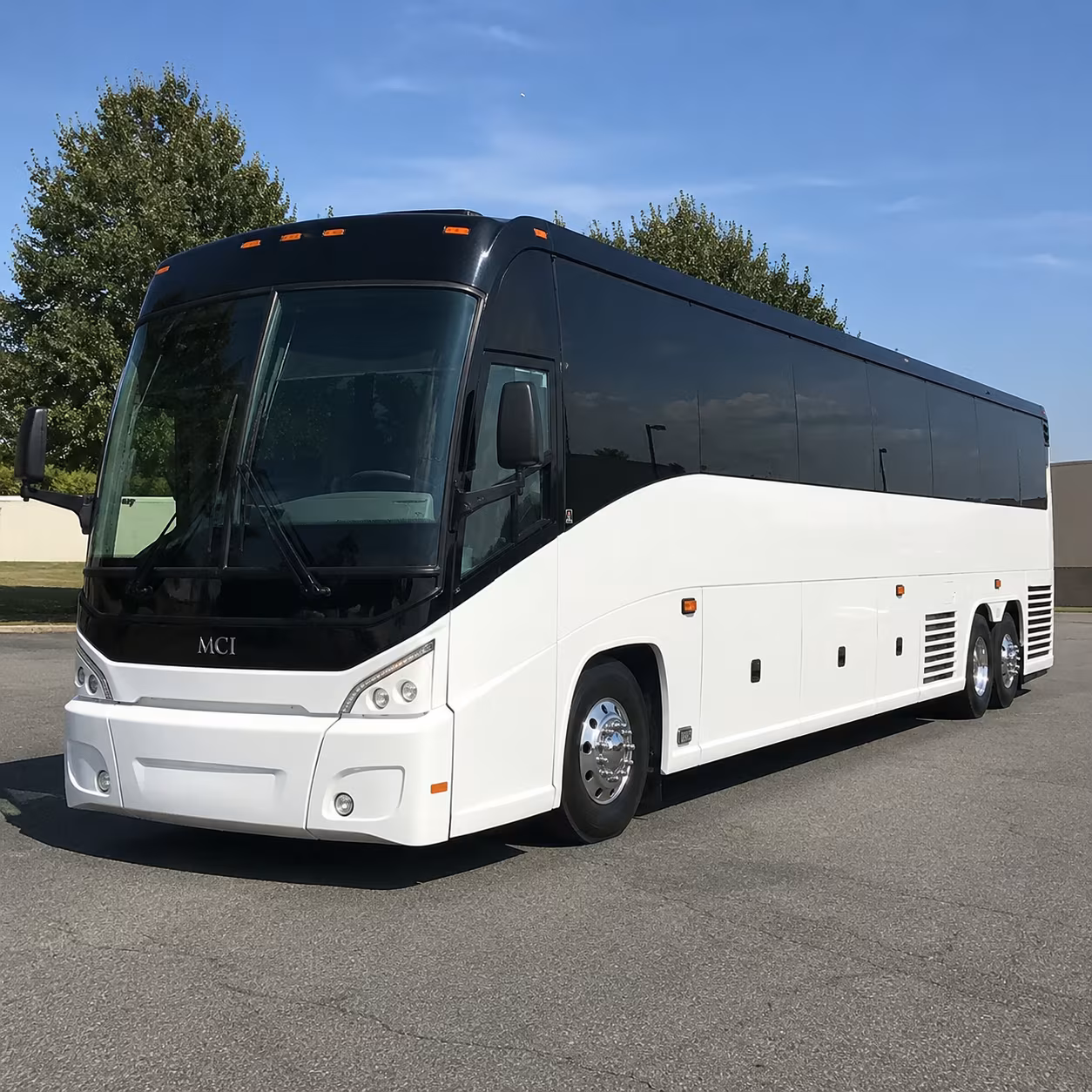 cruise transfer buses to port canaveral portmiami and port tampa bay