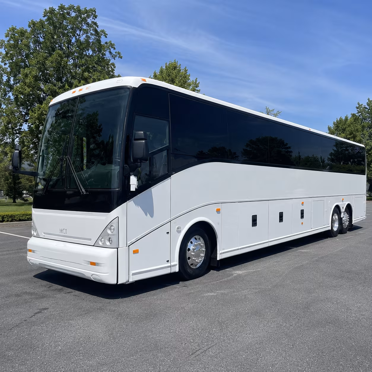one search for your clearwater group trip